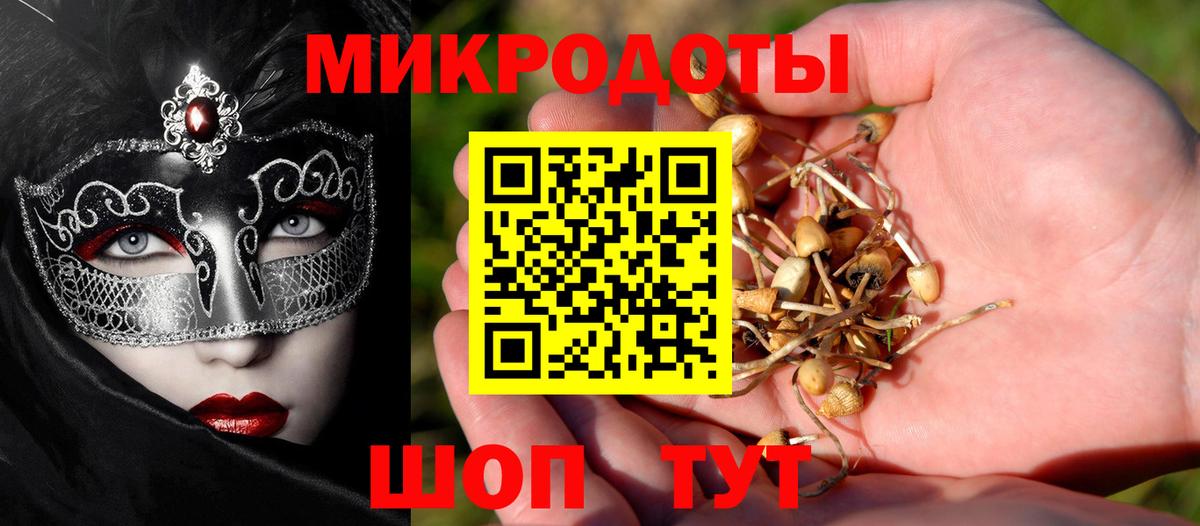 Городец  наркошоп  Вход с VPN  Галлюциногенные грибы прущие грибы 