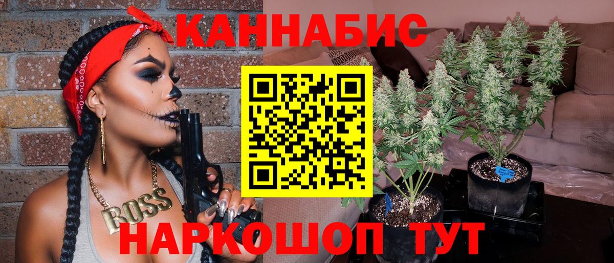 Шишки марихуана конопля  Бошки Шишки тримм  Городец  Канабис сатива  Вход с VPN 